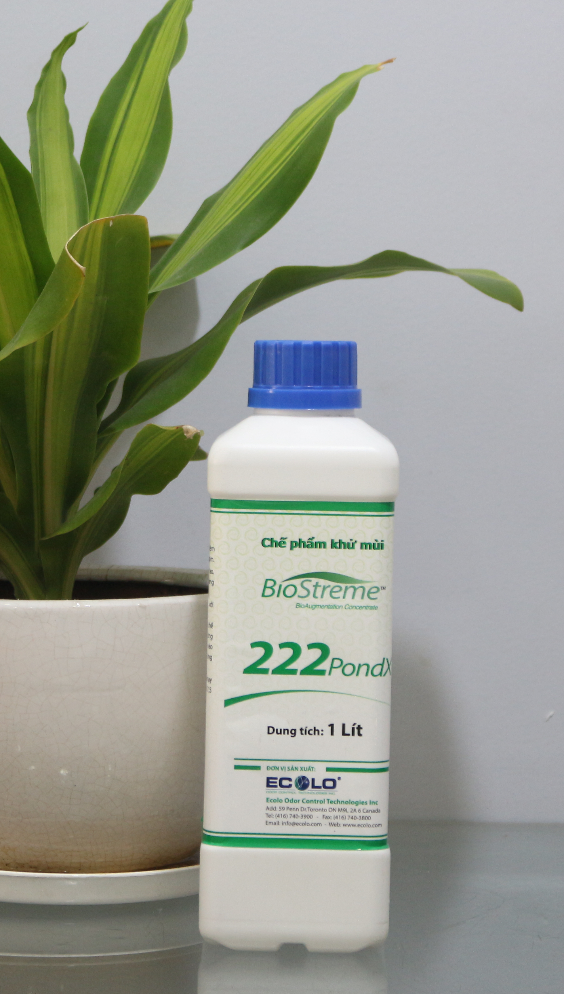Xử lý mùi hôi cho các ao hồ tù đọng BioStreme222PONDX
