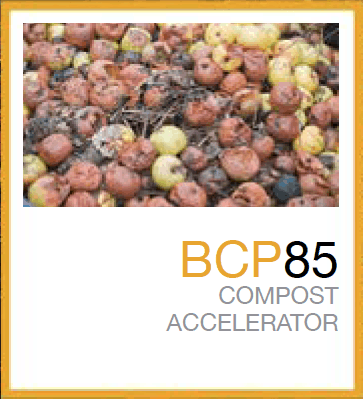 Men vi sinh ủ phân compost BCP 85