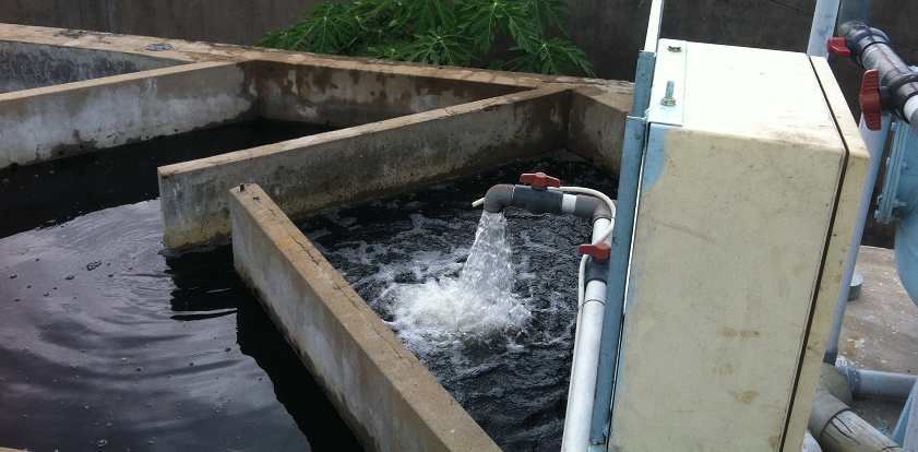 Xử lý nước thải chế biến thủy hải sản