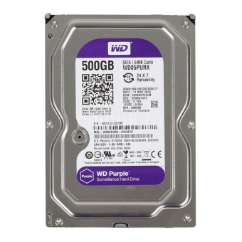 HDD Western 500GB Sata (Purple)